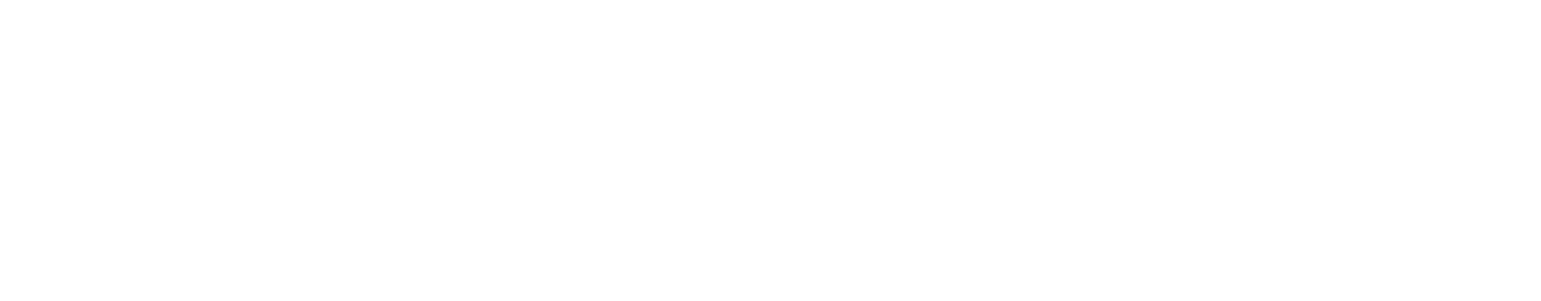 Agentur Schwarzfischer Logo 1 weiß
